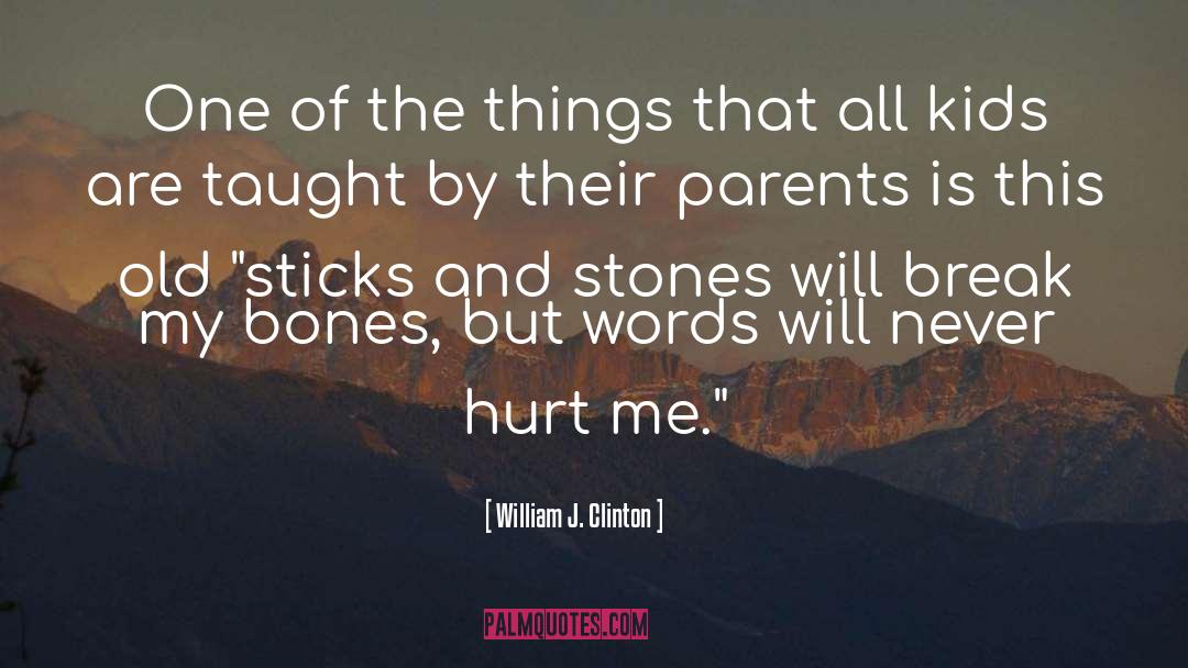 Sticks And Stones quotes by William J. Clinton