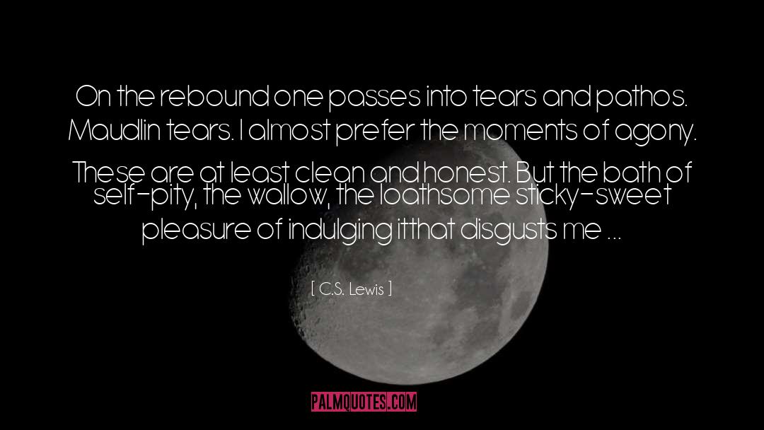 Sticky quotes by C.S. Lewis