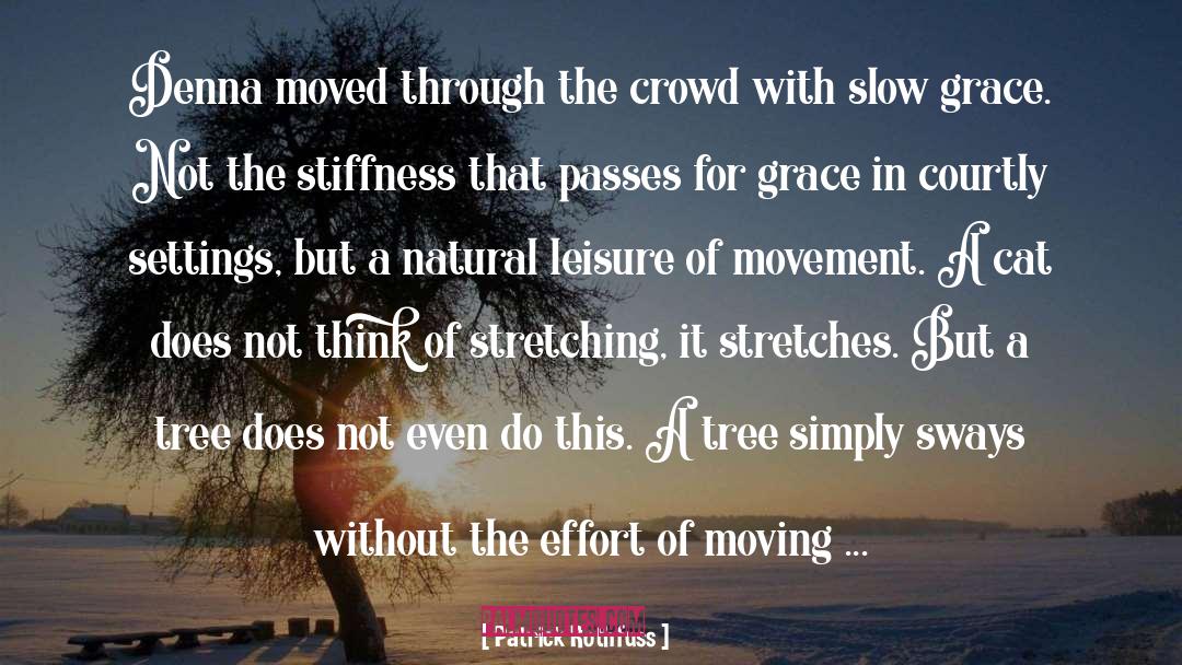 Stiffness quotes by Patrick Rothfuss