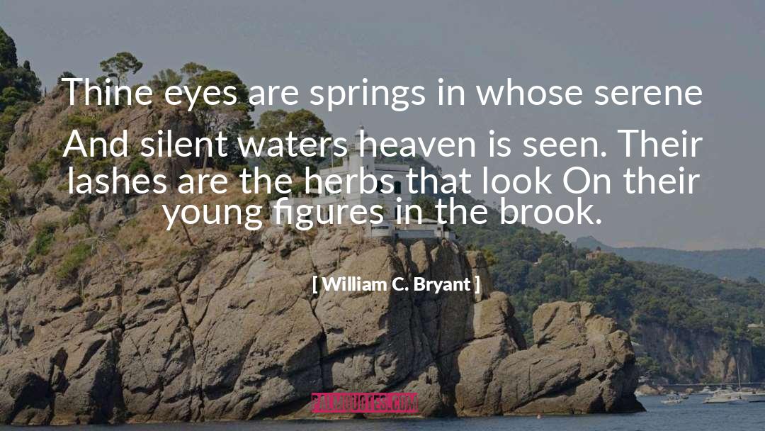 Still And Silent quotes by William C. Bryant