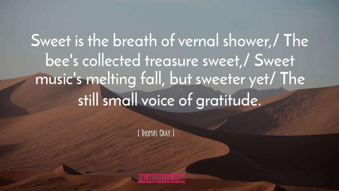 Still Small Voice quotes by Thomas Gray