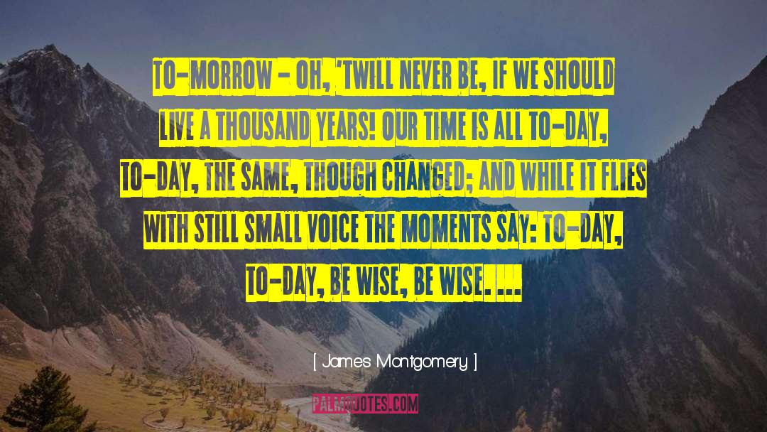 Still Small Voice quotes by James Montgomery