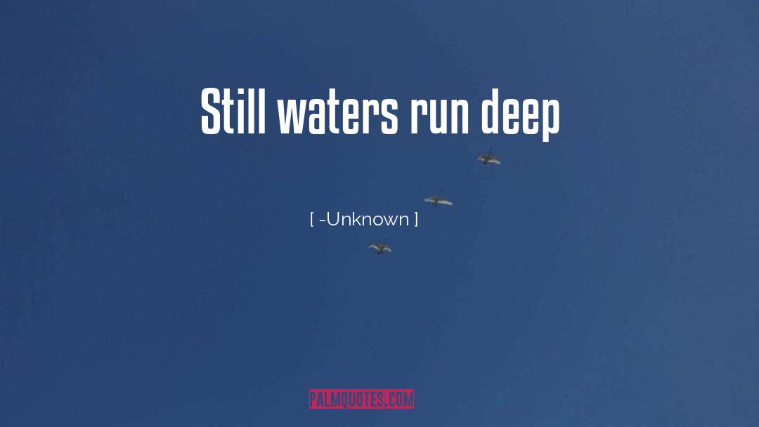 Still Waters quotes by -Unknown