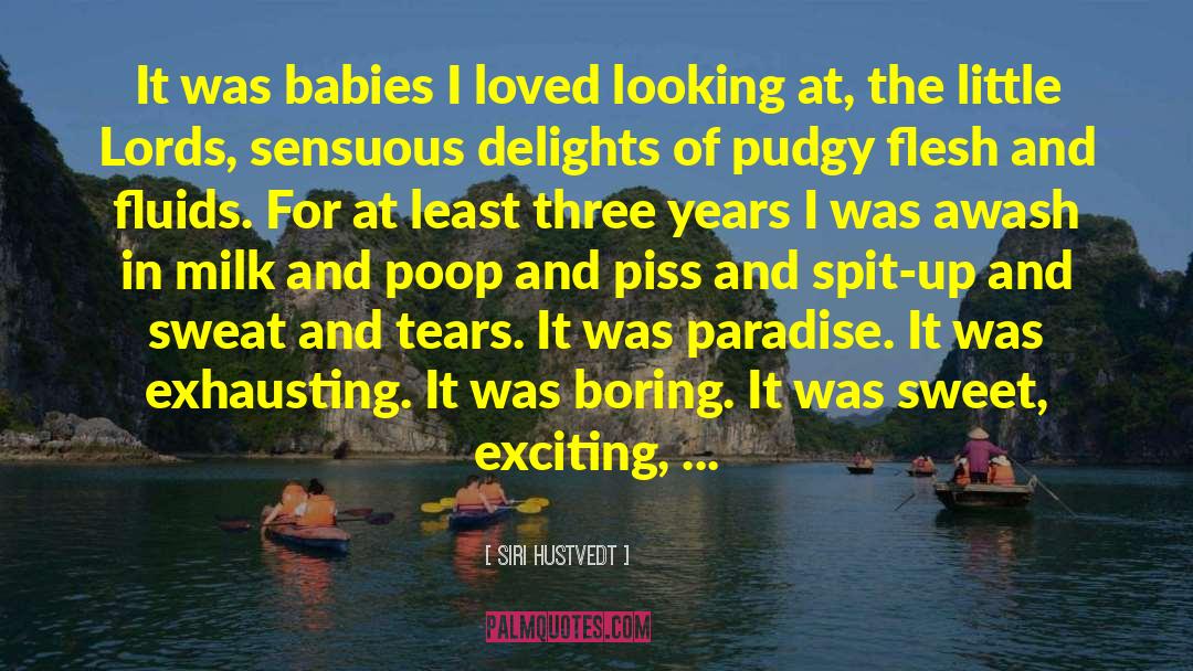 Stillborn Babies quotes by Siri Hustvedt