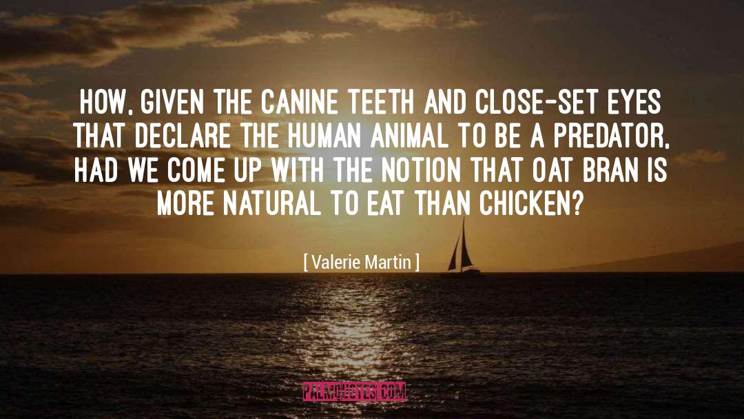 Stiller Predator quotes by Valerie Martin
