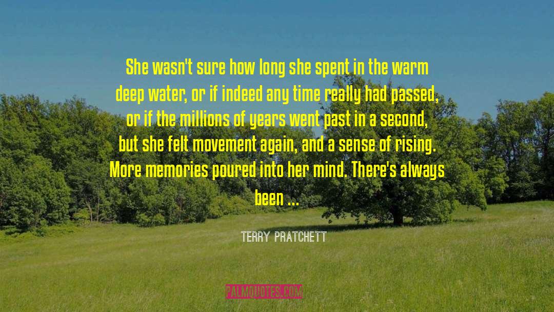 Stillness Of Mind quotes by Terry Pratchett