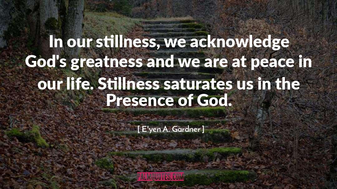 Stillness Of Mind quotes by E'yen A. Gardner