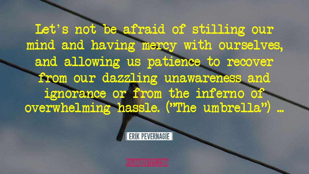 Stillness Of The Mind quotes by Erik Pevernagie