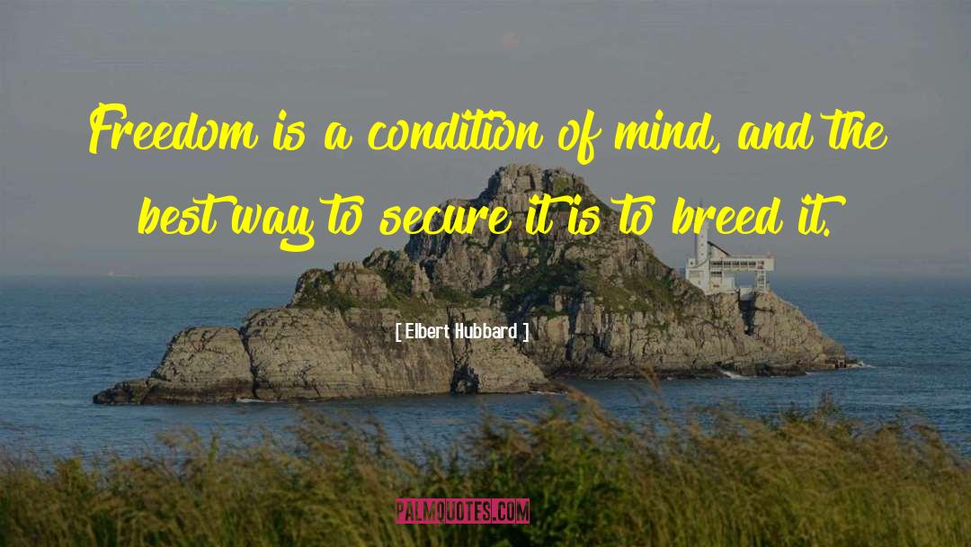 Stillness Of The Mind quotes by Elbert Hubbard