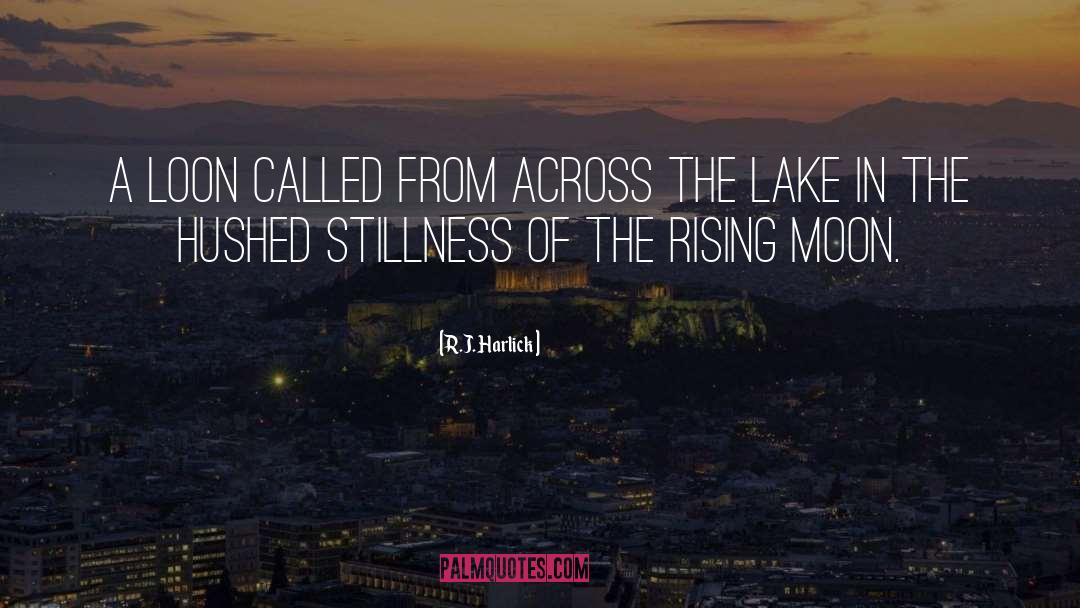 Stillness Of The Ocean quotes by R.J. Harlick