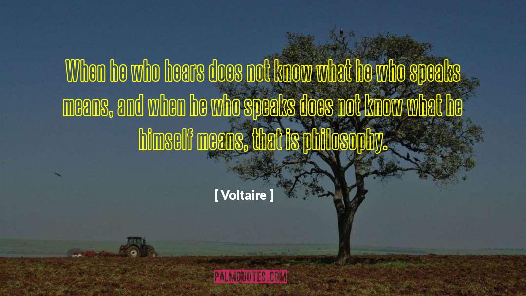 Stillness Speaks quotes by Voltaire