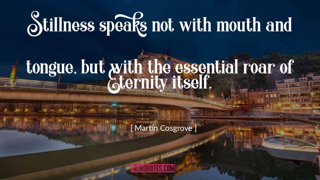 Stillness Speaks quotes by Martin Cosgrove