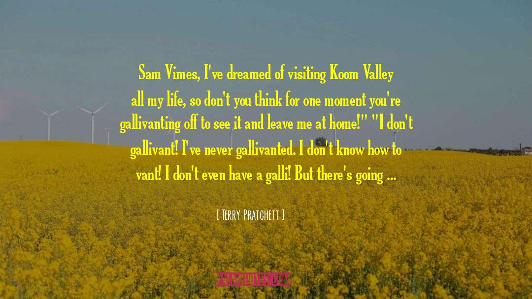 Stilly Valley quotes by Terry Pratchett