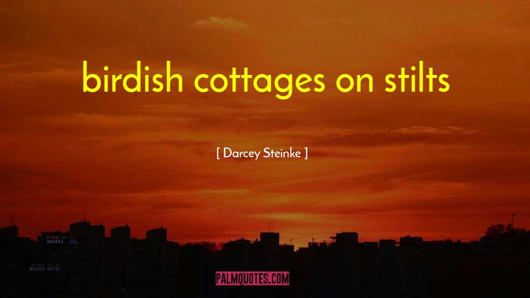 Stilts quotes by Darcey Steinke