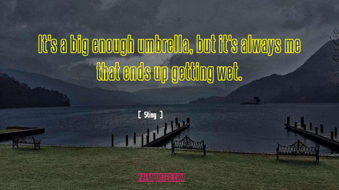 Sting Eucliffe quotes by Sting