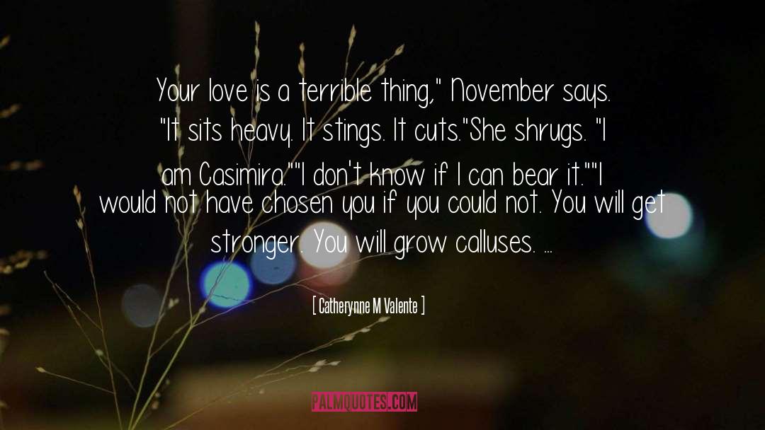 Stings quotes by Catherynne M Valente