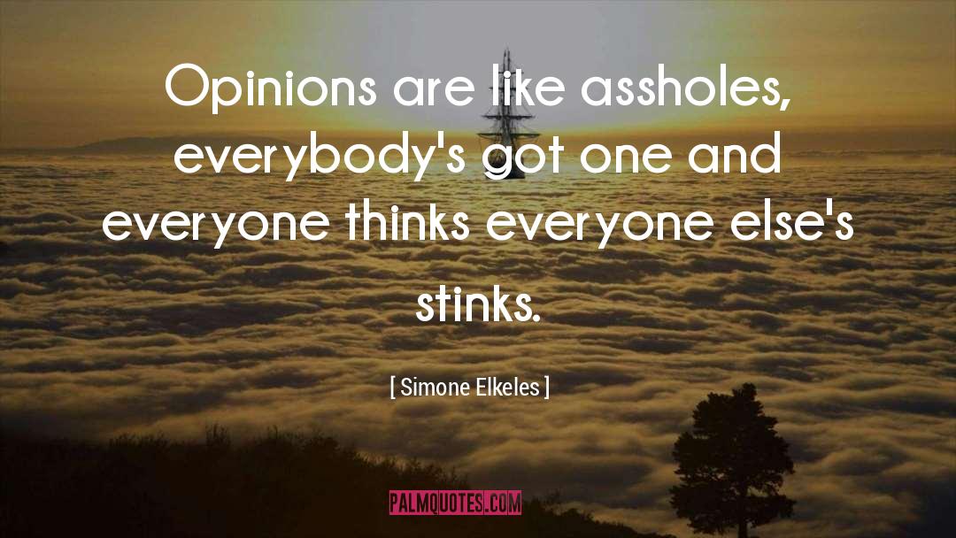 Stinks quotes by Simone Elkeles