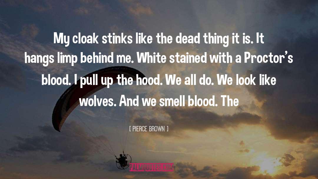 Stinks quotes by Pierce Brown