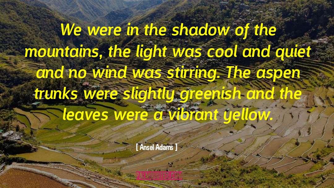 Stirring quotes by Ansel Adams