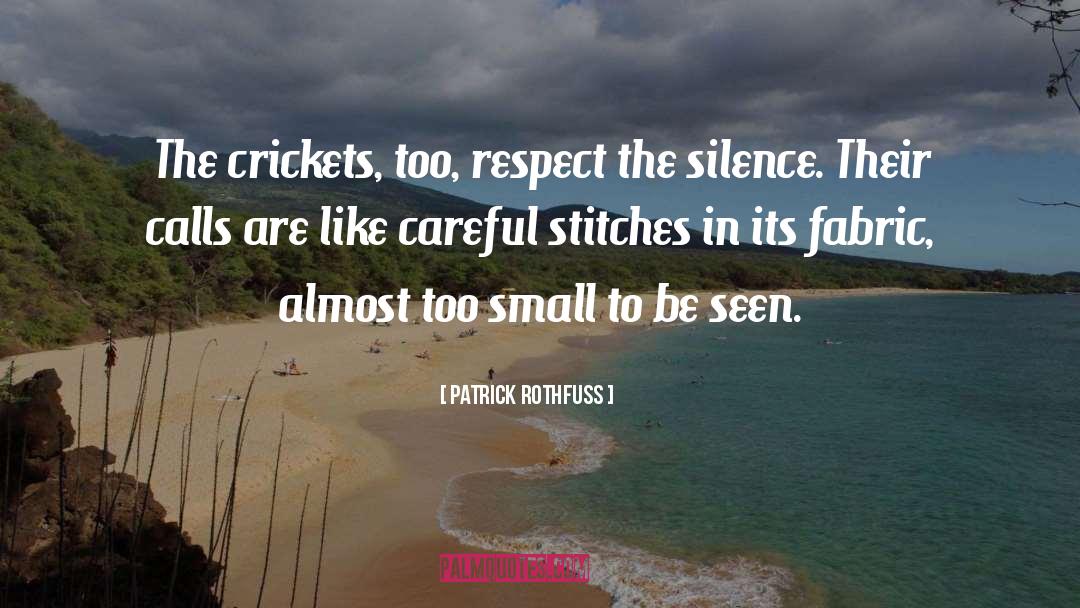 Stitches quotes by Patrick Rothfuss