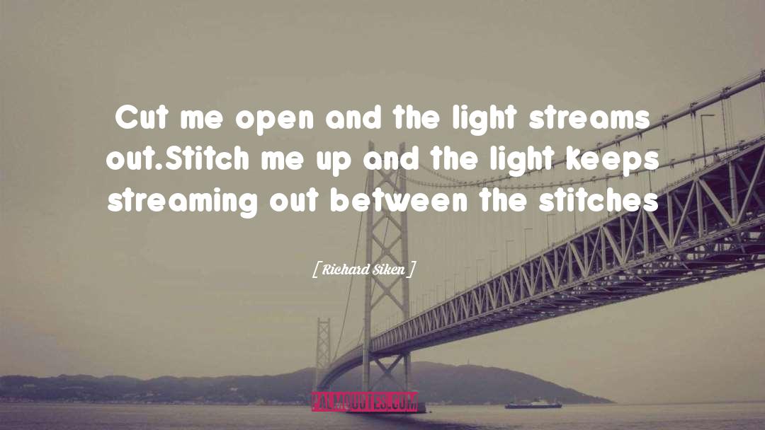 Stitches quotes by Richard Siken