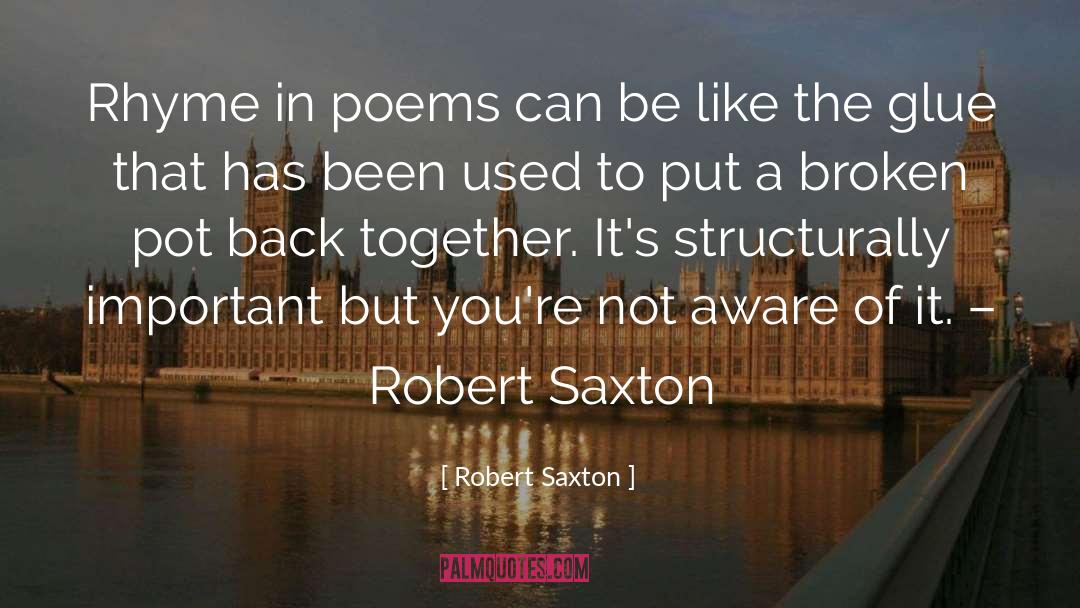 Stitchless Glue quotes by Robert Saxton