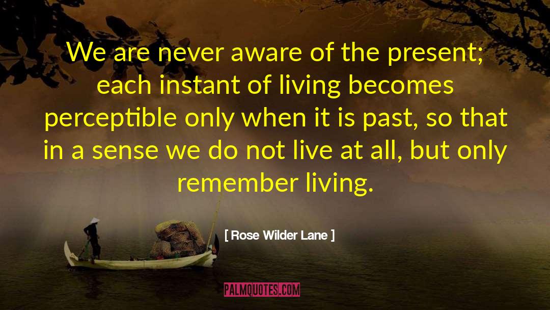 Stiverne Vs Wilder quotes by Rose Wilder Lane