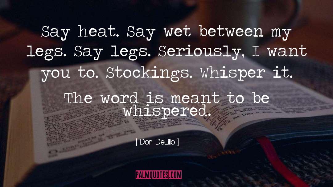 Stockings quotes by Don DeLillo