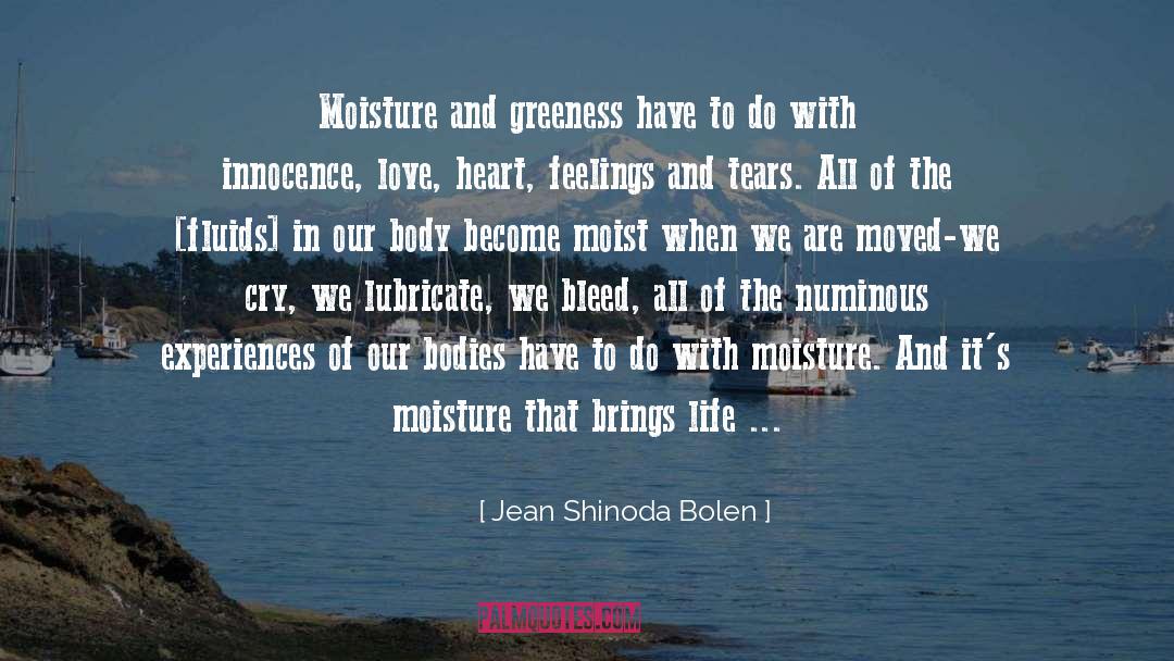 Stolen Innocence quotes by Jean Shinoda Bolen