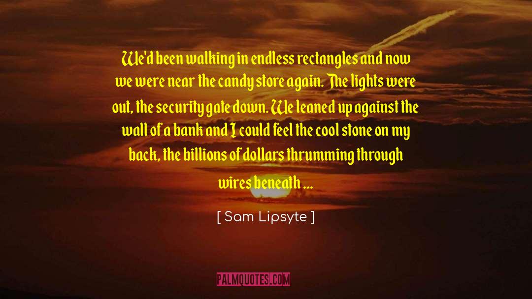 Stolen Night quotes by Sam Lipsyte