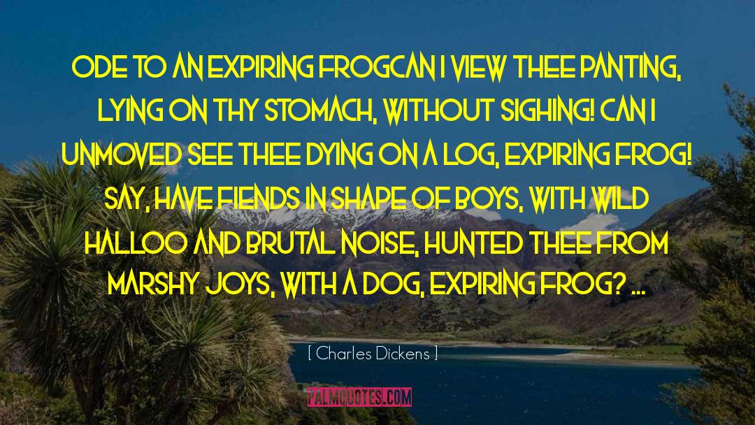 Stomach And Duodenum quotes by Charles Dickens