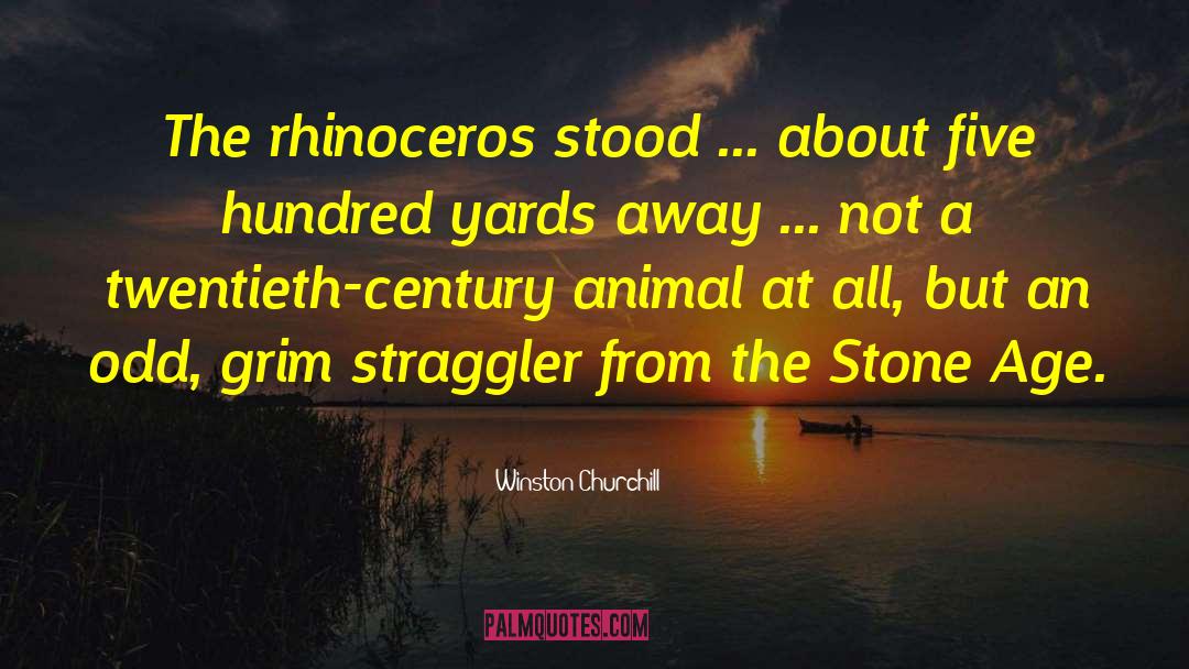 Stone Age quotes by Winston Churchill