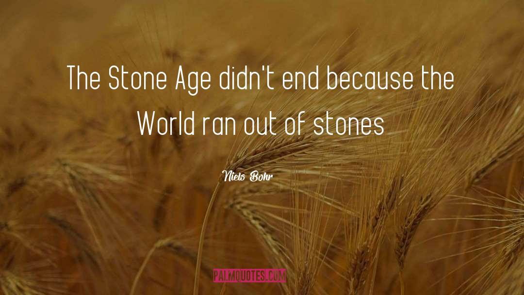 Stone Age quotes by Niels Bohr