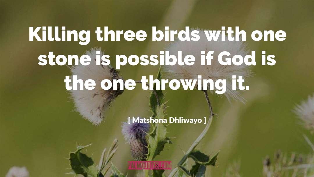 Stone Hearted quotes by Matshona Dhliwayo