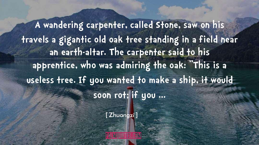 Stone Hearted quotes by Zhuangzi