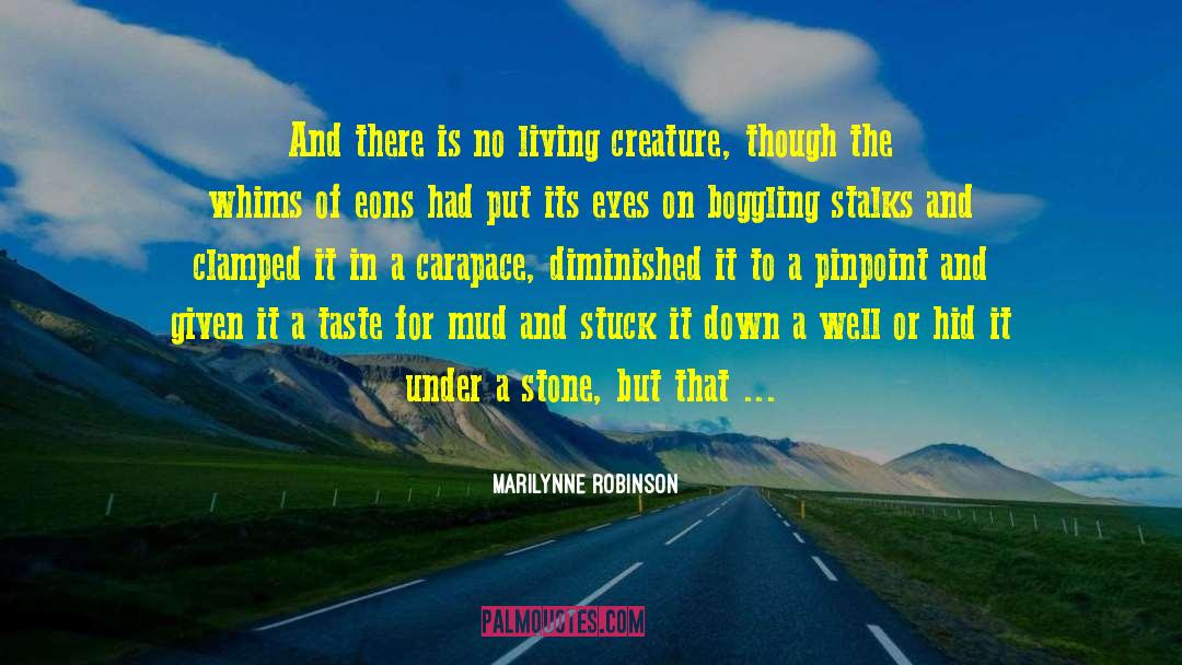 Stone Skipping quotes by Marilynne Robinson