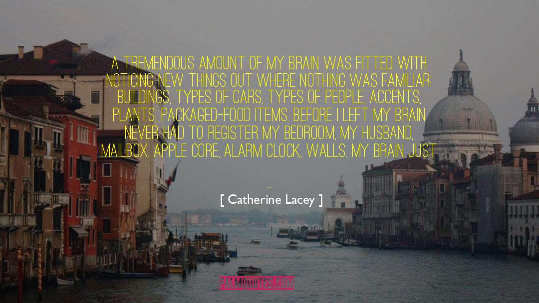 Stone Walls quotes by Catherine Lacey