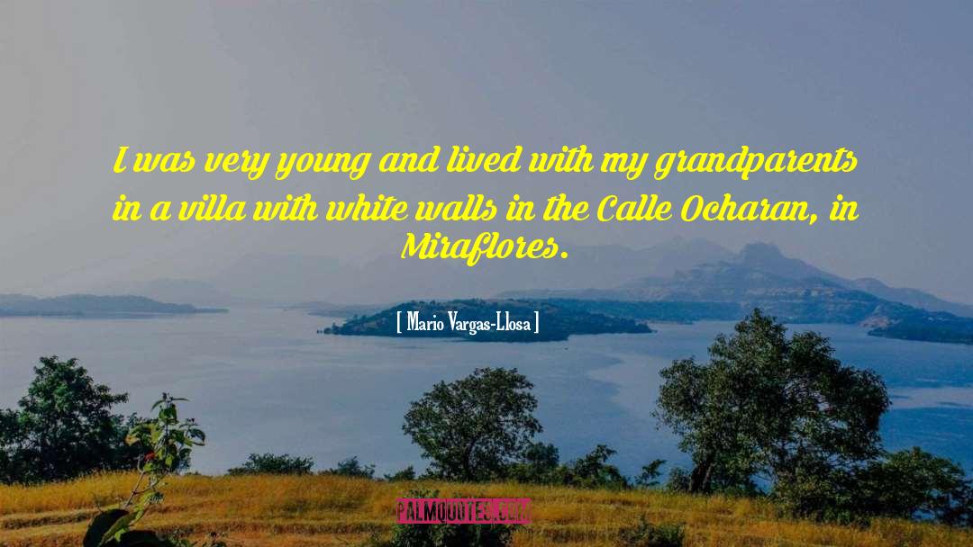 Stonefield Villa quotes by Mario Vargas-Llosa