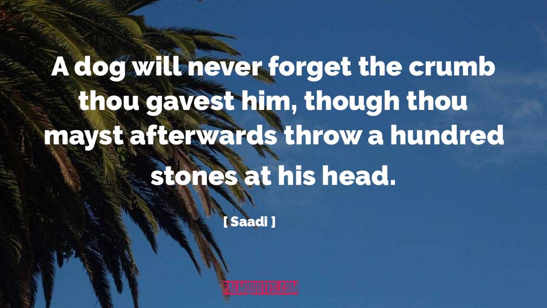Stones quotes by Saadi