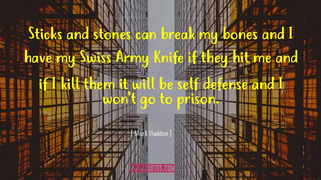 Stones To Schools quotes by Mark Haddon