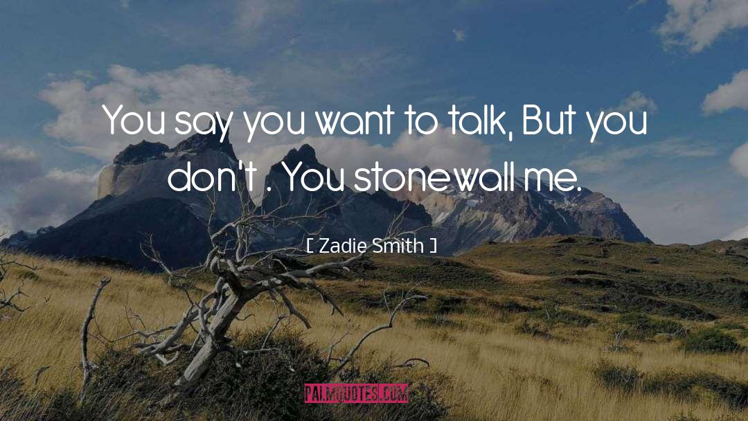 Stonewall quotes by Zadie Smith