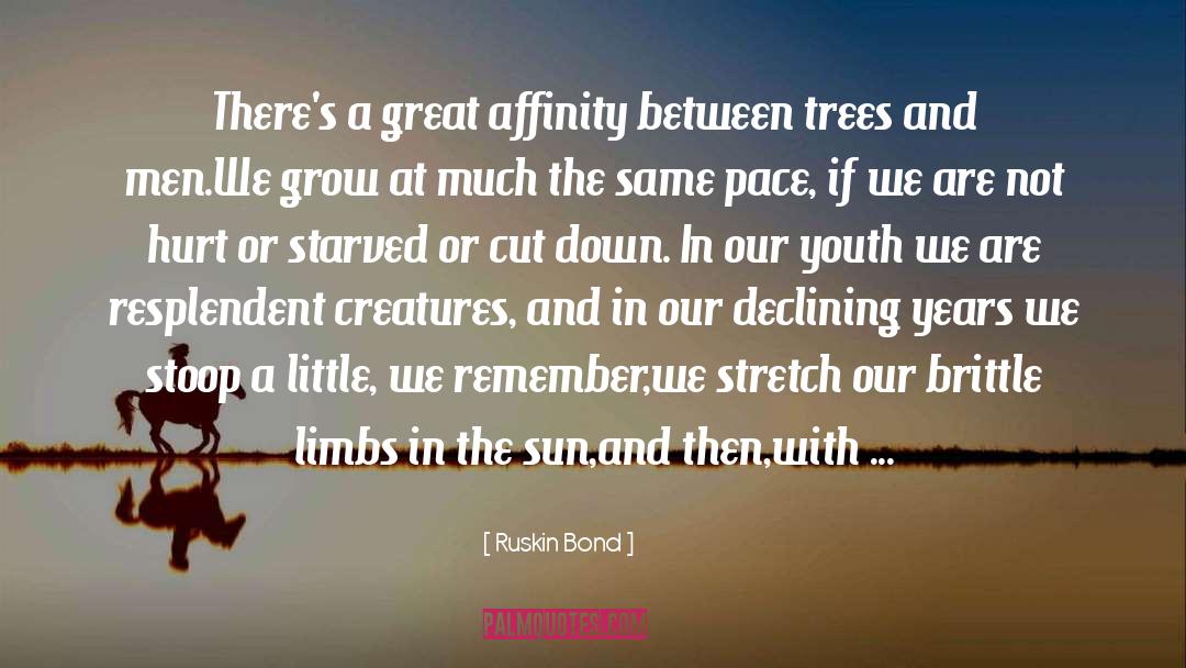 Stoop quotes by Ruskin Bond