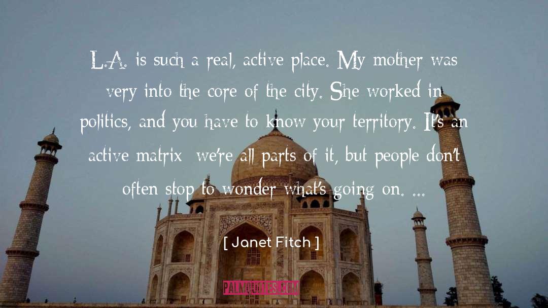 Stop Caring quotes by Janet Fitch