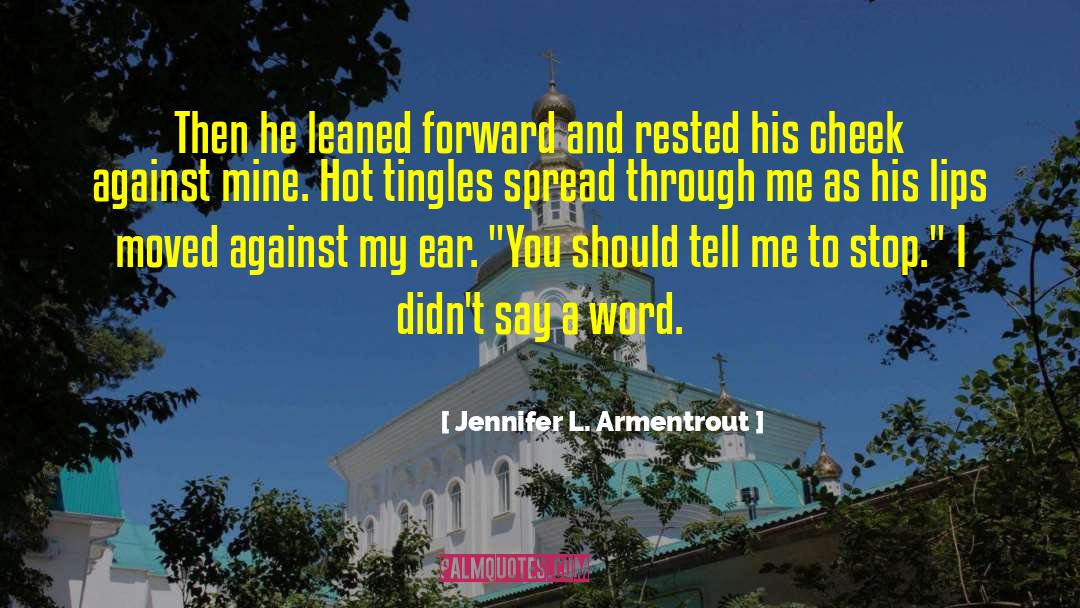 Stop Crying quotes by Jennifer L. Armentrout