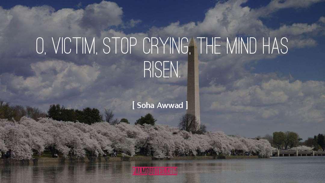 Stop Crying quotes by Soha Awwad