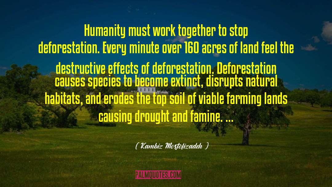 Stop Deforestation quotes by Kambiz Mostofizadeh
