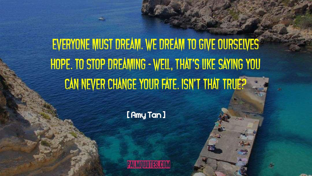 Stop Dreaming quotes by Amy Tan
