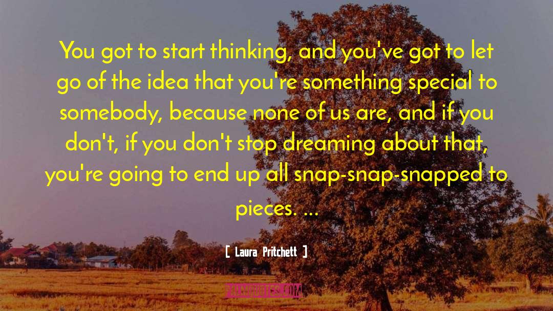 Stop Dreaming quotes by Laura Pritchett
