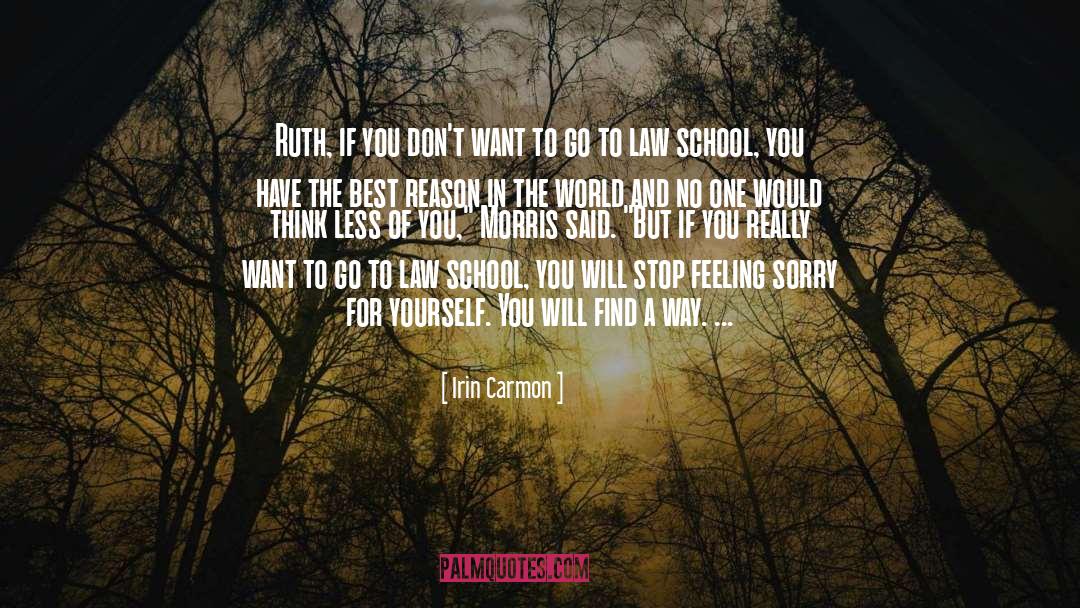 Stop Feeling Sorry quotes by Irin Carmon