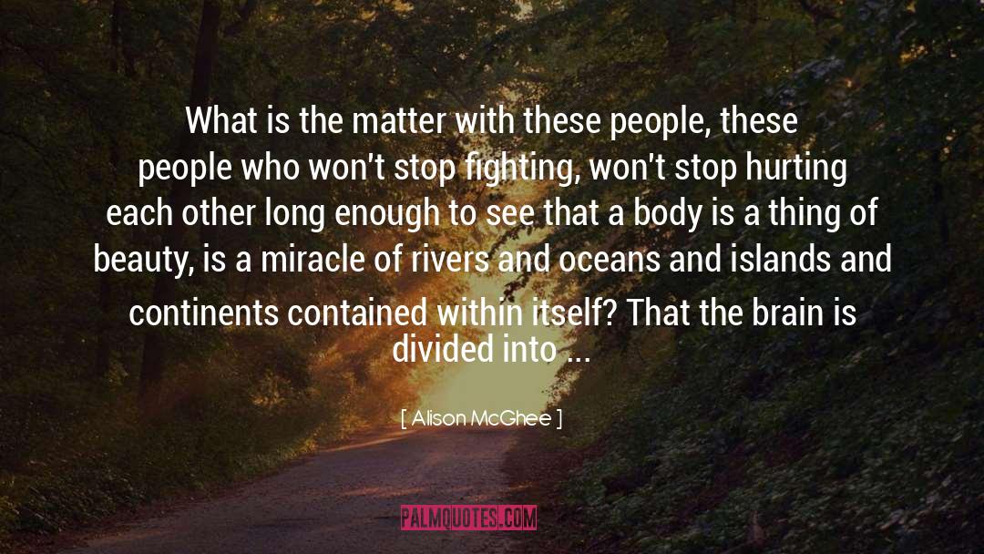 Stop Fighting quotes by Alison McGhee